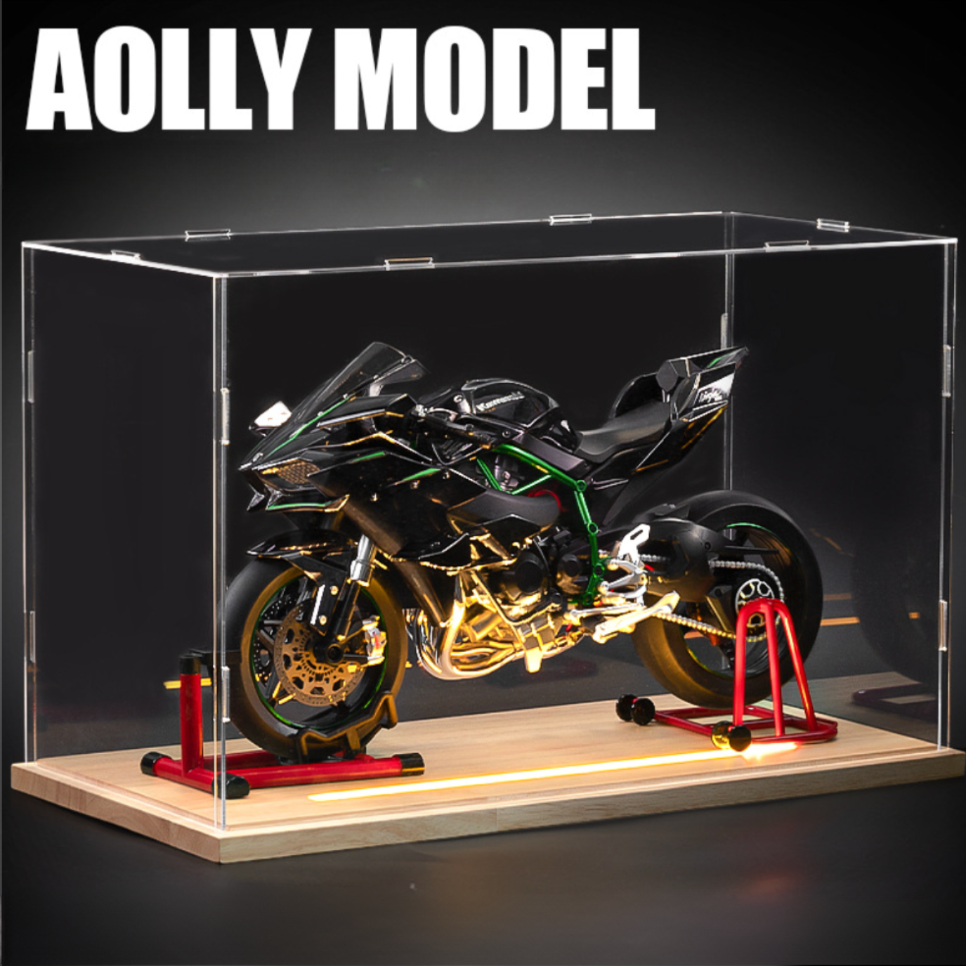 1: 6 Ninja H2R -Modell